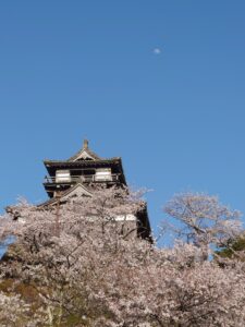 maruoka-castle-sakura-01-with-moon
