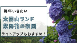 紫陽花の楽園太閤山ランド！毎年訪れたいその魅力