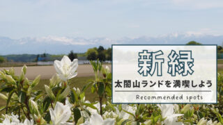 新緑のシーズン到来！太閤山ランドで自然の恵みを満喫しよう
