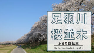 自転車で行く足羽川桜並木（2023）