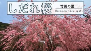 竹田の里 しだれ桜まつり